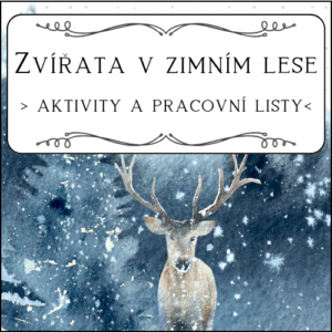 Zvířátka v zimním lese: pracovní listy a aktivity