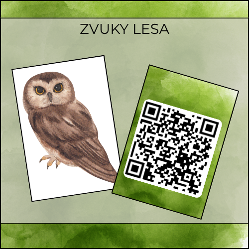 ZVUKY LESA: obrázky s QR kódy, aktivity - Obrázek 4